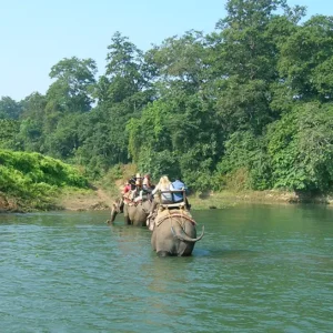 Chitwan Elephant back Safari