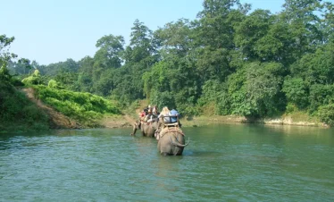 Chitwan Elephant back Safari