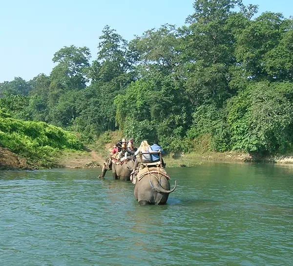 Chitwan Elephant Safari