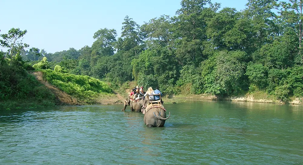 Chitwan Elephant Safari