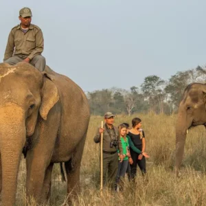 Chitwan Jungle Safari- Jungle walk