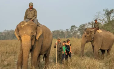 Chitwan Jungle Safari- Jungle walk