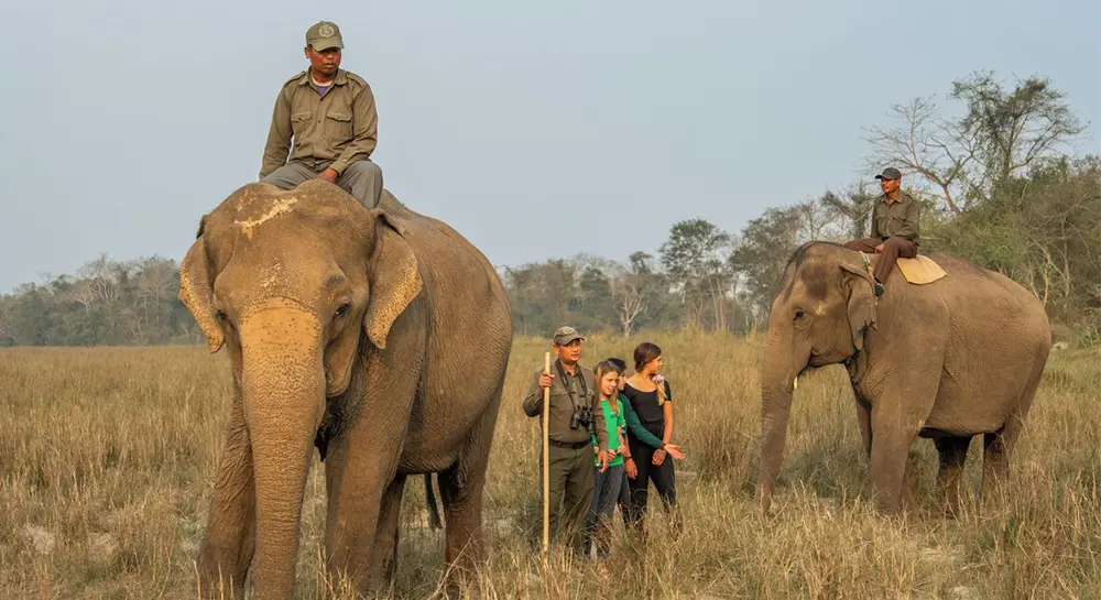 Chitwan Jungle Safari- Jungle walk