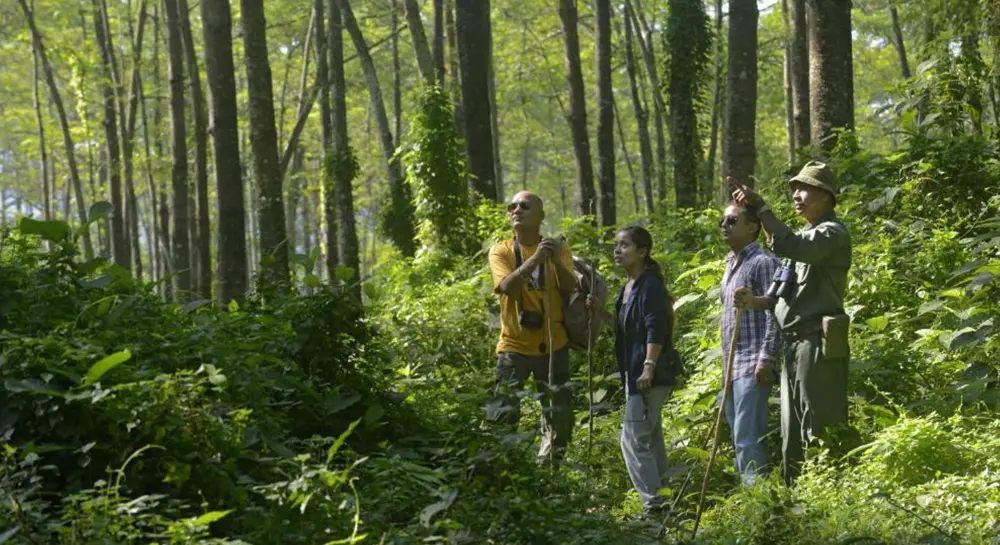 Chitwan Jungle Walk