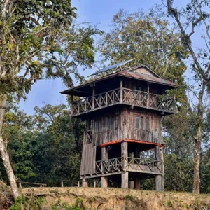 Chitwan Jungle tower