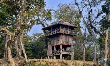 Chitwan Jungle tower