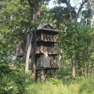 Chitwan Jungle tower Stay