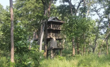 Chitwan Jungle tower Stay