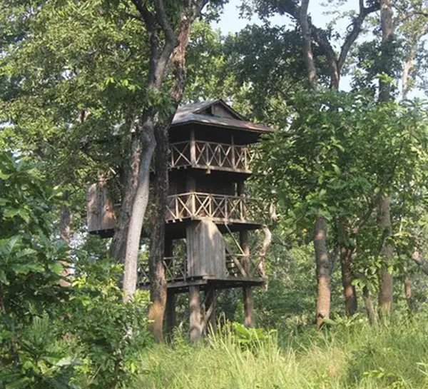 Chitwan Jungle tower Stay