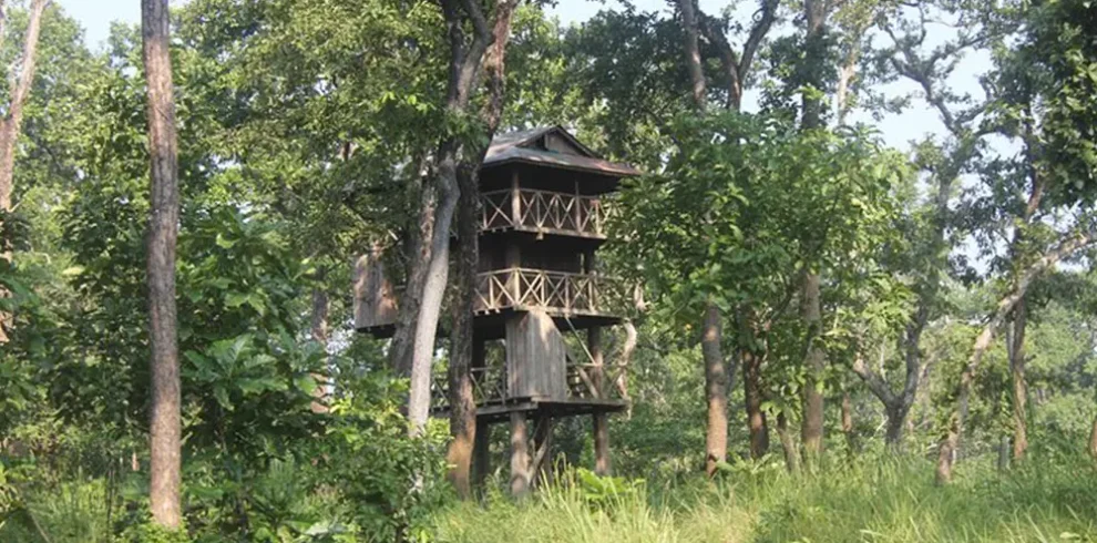 Chitwan Jungle tower Stay