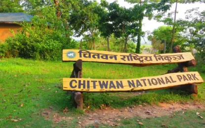 What’s Included in Chitwan Safari Packages