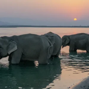 Chitwan National Park- Riverside