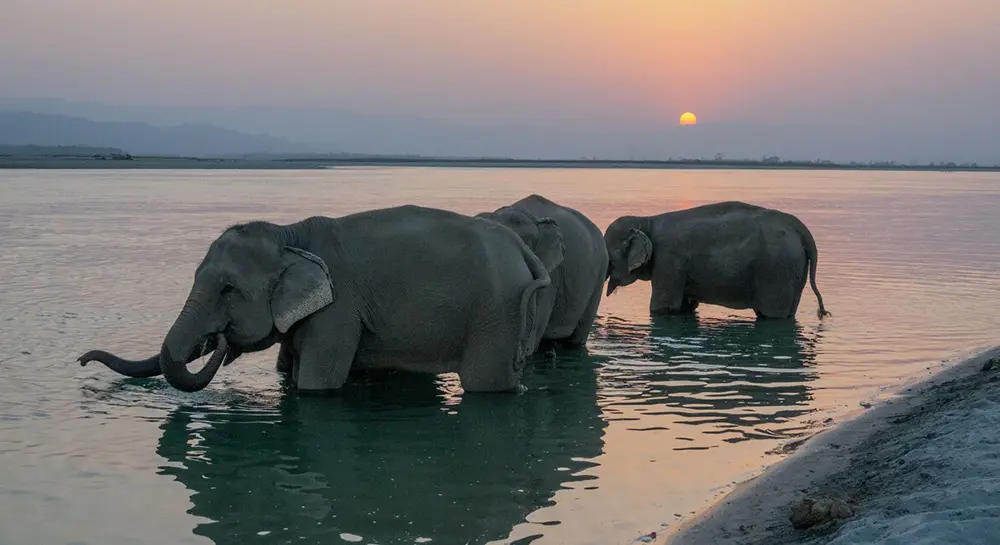 Chitwan National Park- Riverside