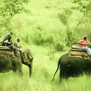 chitwan national park in February