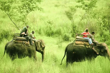 chitwan national park in February