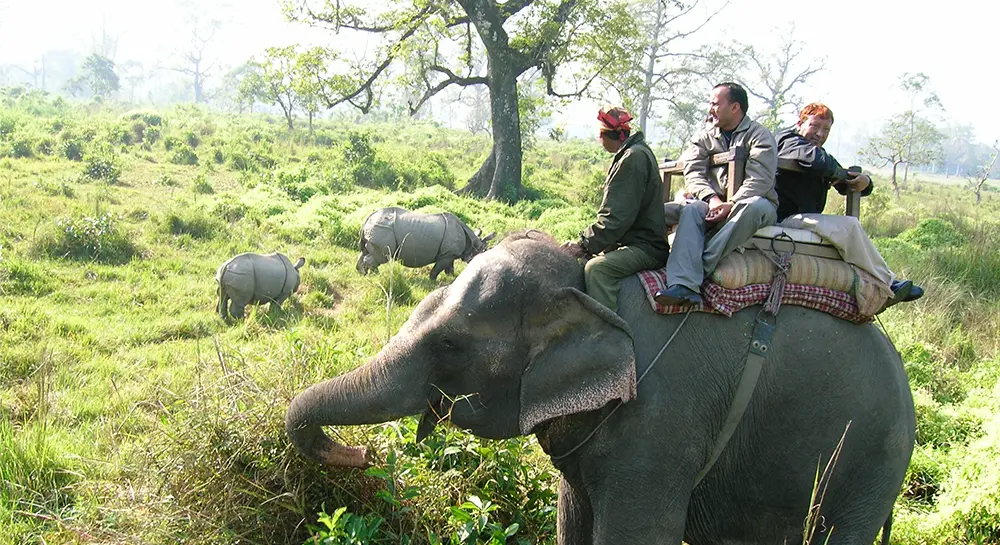Elephant Safari Chitwan