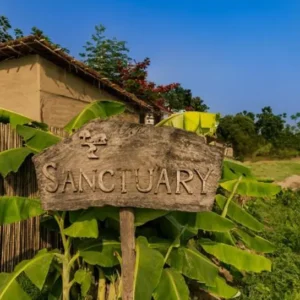 Sanctuary Resort Chitwan