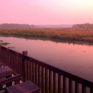 Jagatpur Lodge Chitwan