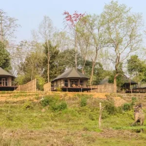 Jagatpur Lodge Chitwan