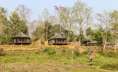 Jagatpur Lodge Chitwan