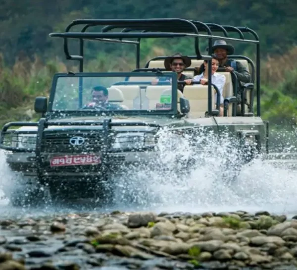 Jeep safari- Chitwan National Park