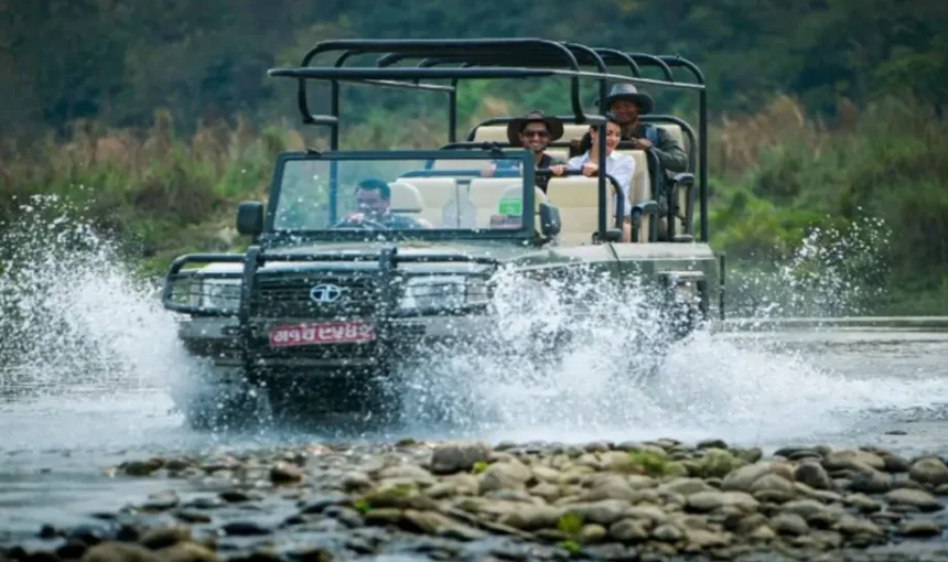 Chitwan Safari in August: A Monsoon Jungle Adventure