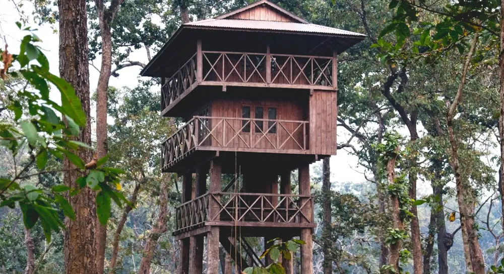 Jungle tower- Chitwan