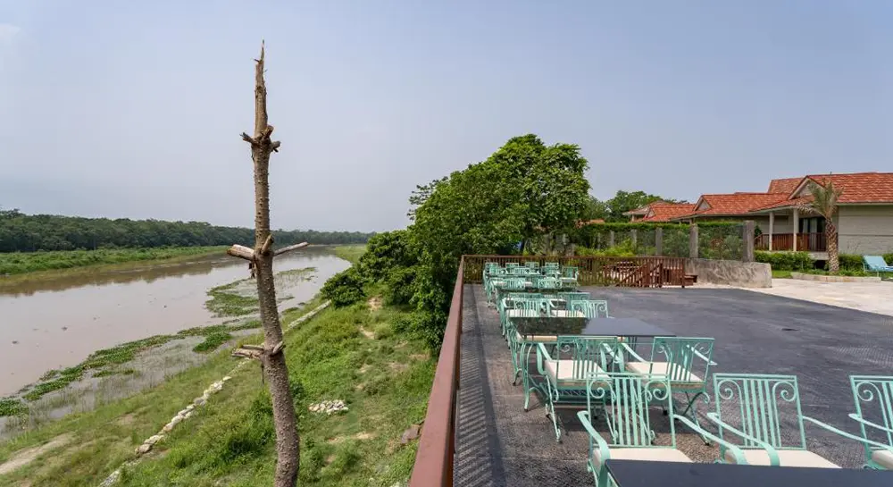 Riverbank Jungle resort-