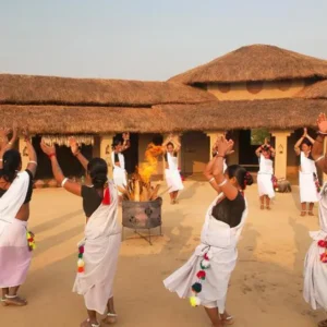Taj-Meghauli-Serai chitwan