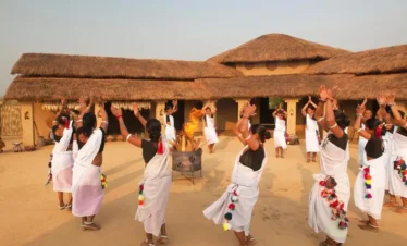 Taj-Meghauli-Serai chitwan