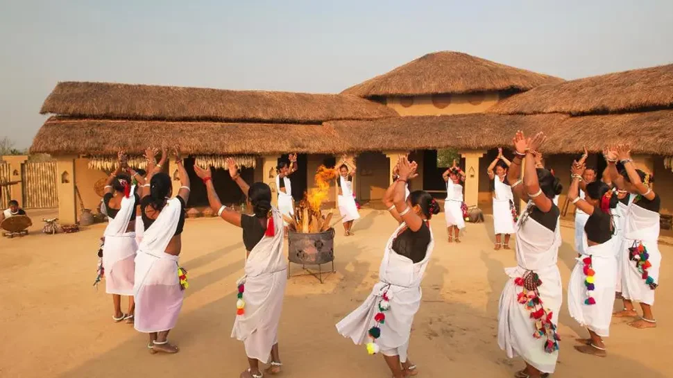 Taj-Meghauli-Serai chitwan
