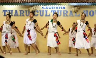 Tharu Cultural Show-Chitwan Tharu culture in Chitwan