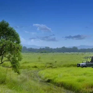 jeep safari at barahi