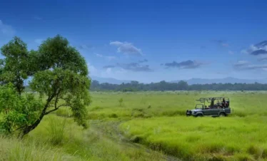 jeep safari at barahi