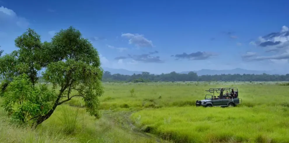 jeep safari at barahi