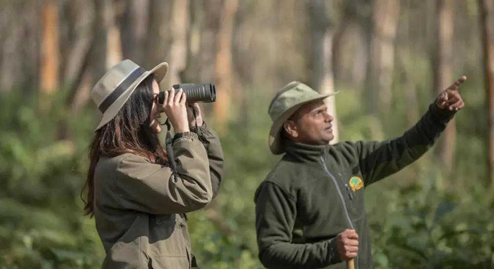 Bird Watching- Jagatpur Lodge Chitwan