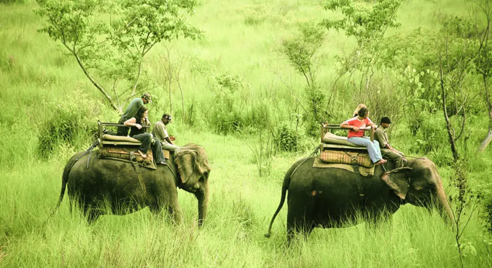 Chitwan Jungle Safari in september