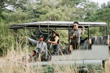 Jeep Safari At Kasara Family Jungle Safari Chitwan