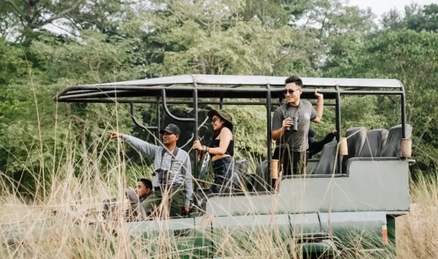 Family-Friendly Jungle Safaris in Chitwan