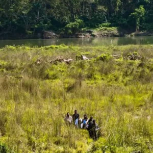 Jungle Walk- Chitwan Safari