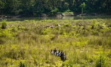 Jungle Walk- Chitwan Safari