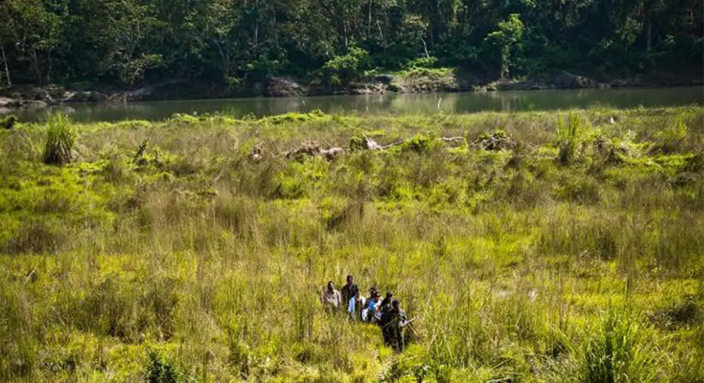 Jungle Walk- Chitwan Safari