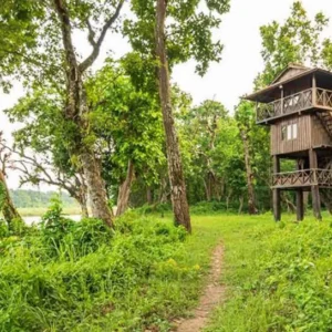 3 Nights Chitwan Adventure with 1 Night Jungle Tower Stay