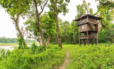 3 Nights Chitwan Adventure with 1 Night Jungle Tower Stay