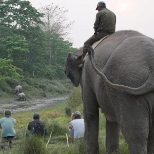 Jungle walk at Chitwan National park