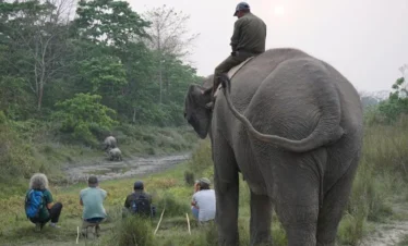 Jungle walk at Chitwan National park