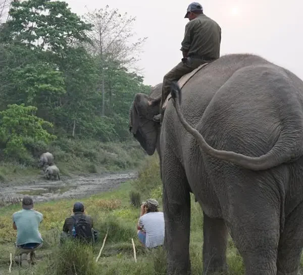 Jungle walk at Chitwan National park