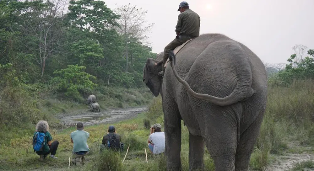 Jungle walk at Chitwan National park