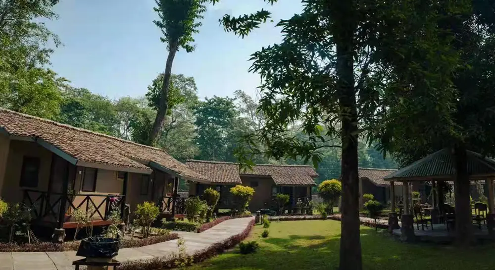 Safari-Adventure-Lodge-Chitwan