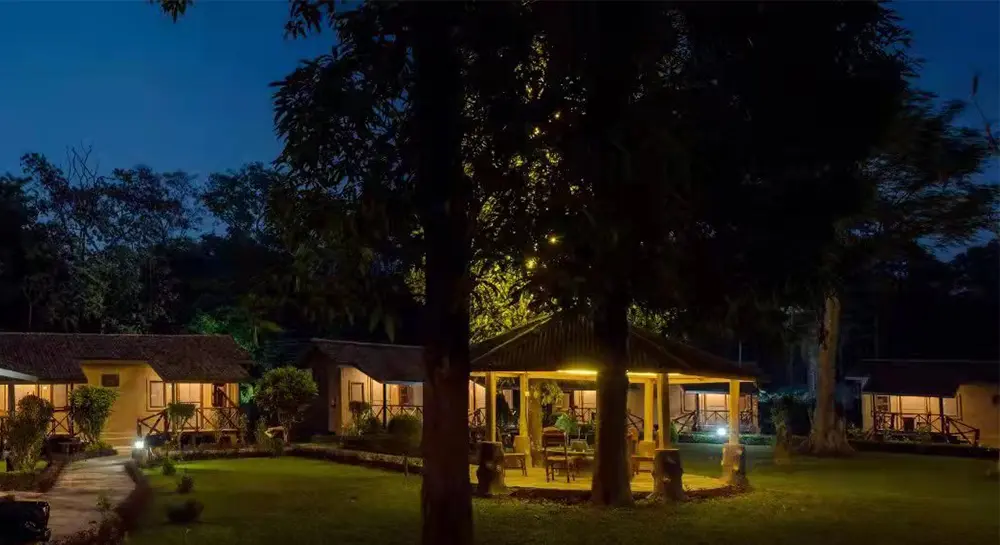 Safari-Adventure